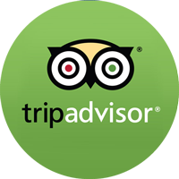 Tripadvisor Icon Green