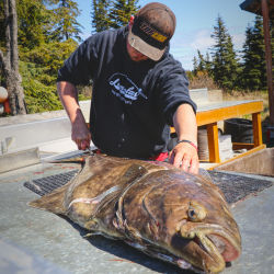 Kenai peninsula saltwater fishing halibut charter service