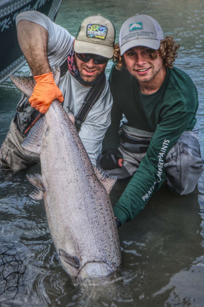 Kenai river king salmon Kenai Drift Anglers guide