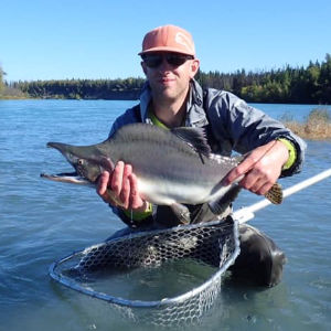 alaska pink salmon fishing kenai river