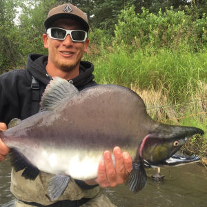 alaska pink salmon fishing