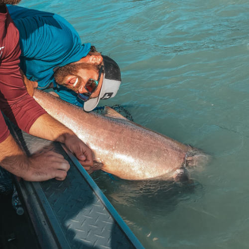 Kenai river alaska King Salmon fishing charter