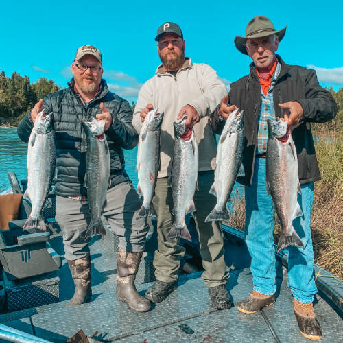 Kenai river coho silver salmon alaska fishing charter