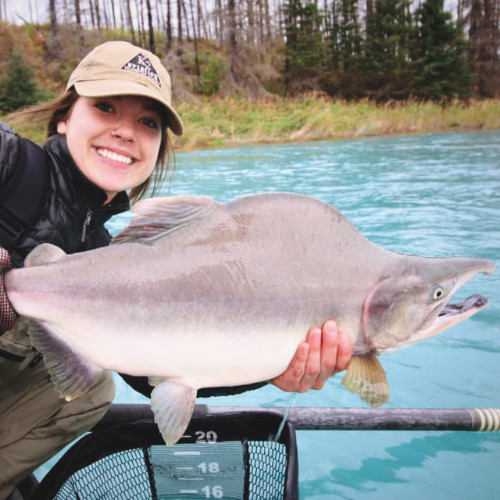 alaska fishing kenai river pink salmon kenai drift anglers