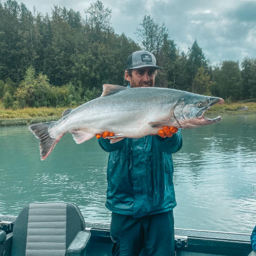 best Kenai river silver salmon fishing kenai drift anglers guide